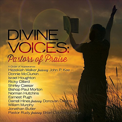 Various Artists - Divine Voices: Pastors Of Praise (CD)