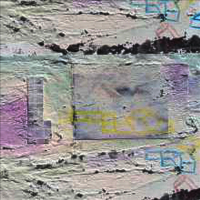 Broken Social Scene — Hug Of Thunder (Limited Deluxe Edition)(Gatefold Cover) 앨범 커버