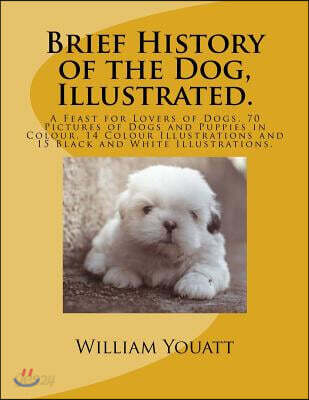 Brief History of the Dog, Illustrated.: A Feast for Lovers of Dogs. 70 Pictures of Dogs and Puppies in Colour. 14 Colour Illustrations and 15 Black an