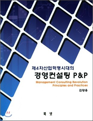 경영컨설팅 P&P