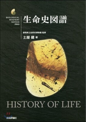 生命史圖譜