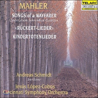 Andreas Schmidt 말러: 방황하는 젊은이의 노래, 뤼케르트 가곡, 죽은 아이를 그리는 노래 - 안드레아스 슈미트 (Mahler: Lieder eines Fahrenden Gesellen, Ruckert-Lieder, Kindertotenlieder)