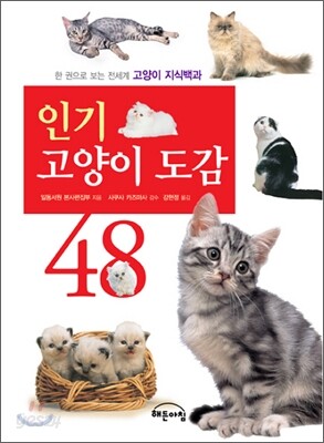 인기 고양이 도감 48