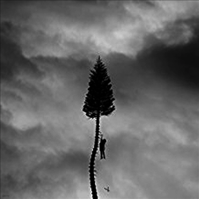 Manchester Orchestra — A Black Mile To The Surface (Deluxe Edition) 앨범 커버
