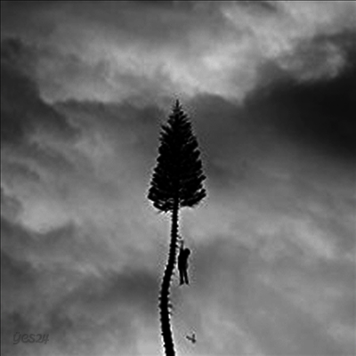 Manchester Orchestra - A Black Mile To The Surface (Deluxe Edition)(180G)(2LP)