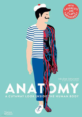 Anatomy : A Cutaway Look Inside the Human Body