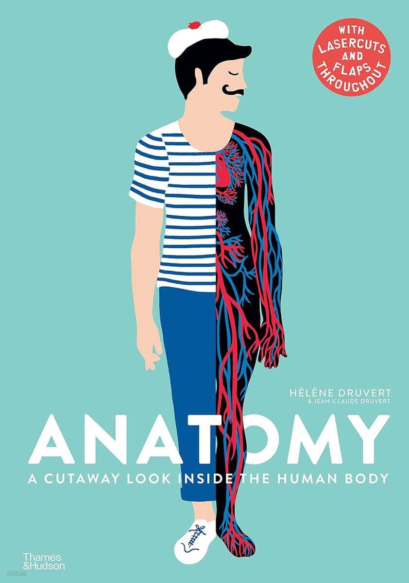 Anatomy : A Cutaway Look Inside the Human Body