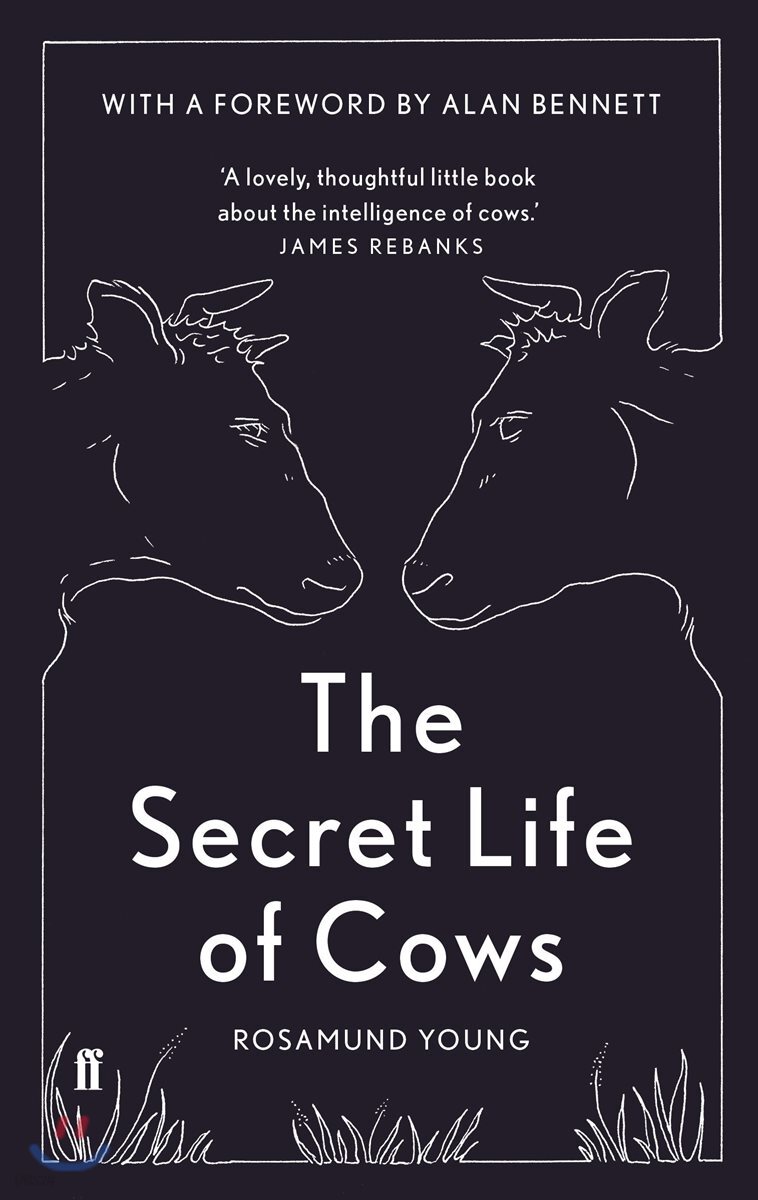 Secret Life of Cows