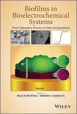 Biofilms in Bioelectrochemical Systems