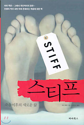 스티프