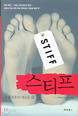 스티프