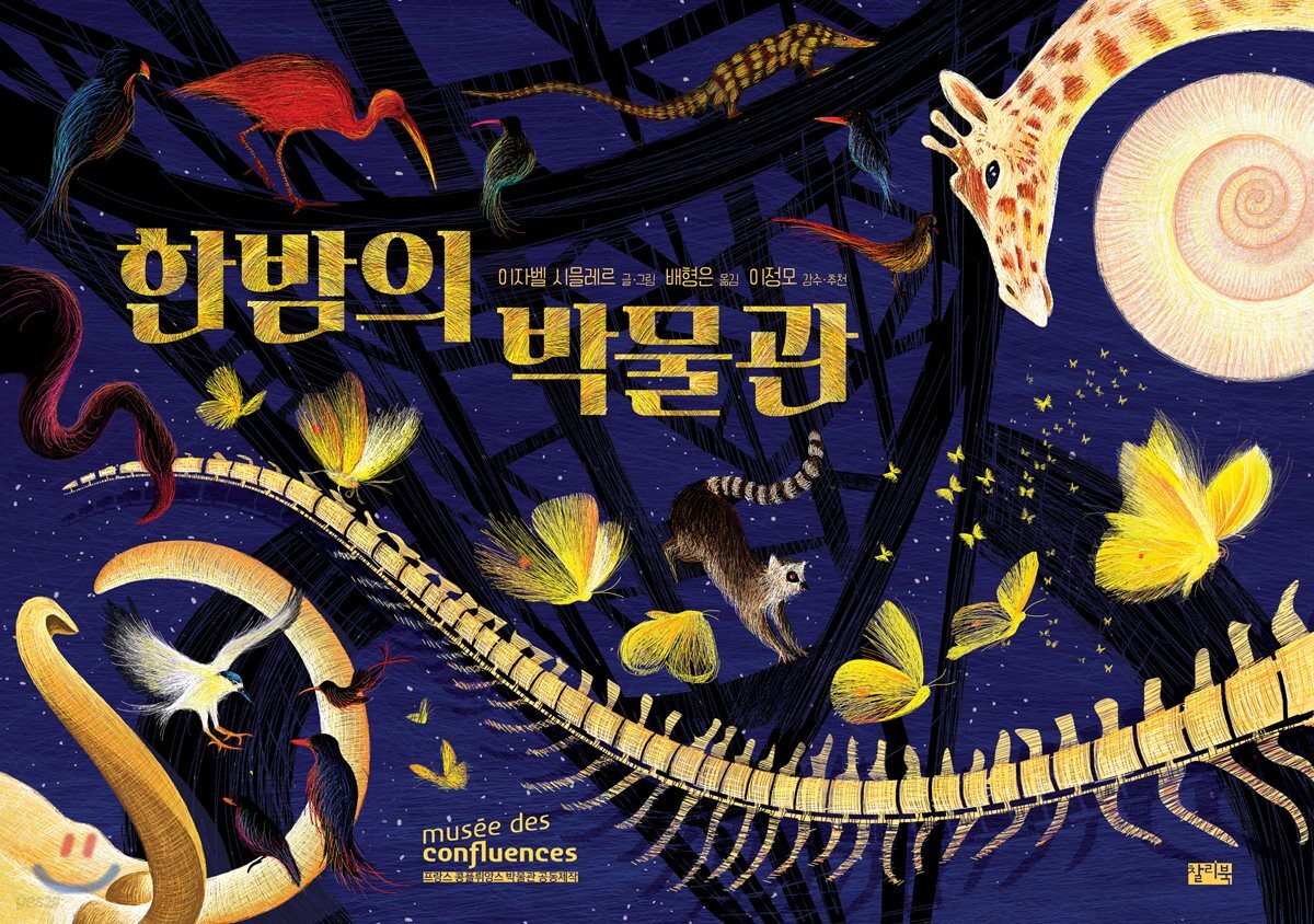 한밤의 박물관
