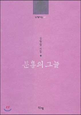 분홍의 그늘