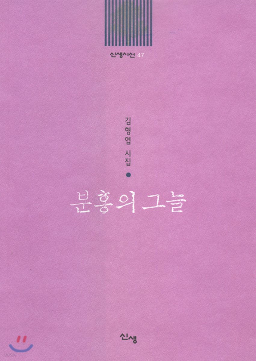분홍의 그늘