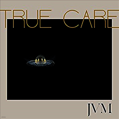 James Vincent Mcmorrow — True Care (MP3 Download) 앨범 커버