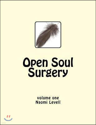 Vol. 1, Open Soul Surgery, large print edition