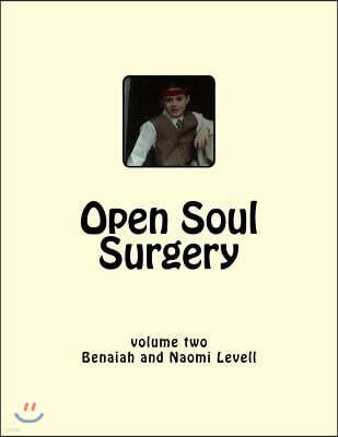 Vol. 2, Open Soul Surgery, large print edition: Seven Flames: Letters to Manasseh