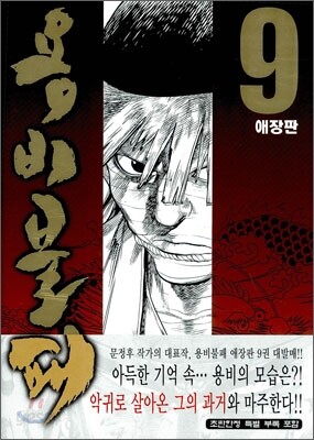 용비불패 애장판 9