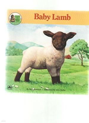 Baby lamb (A Golden look-look nature book)