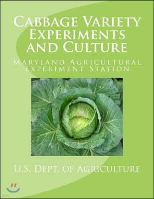 Cabbage Variety Experiments and Culture