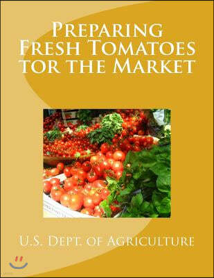 Preparing Fresh Tomatoes tor the Market