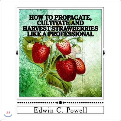 How to Propagate, Cultivate and Harvest Strawberries Like a Professional: Expert Tips on All Aspects of Growing Strawberries