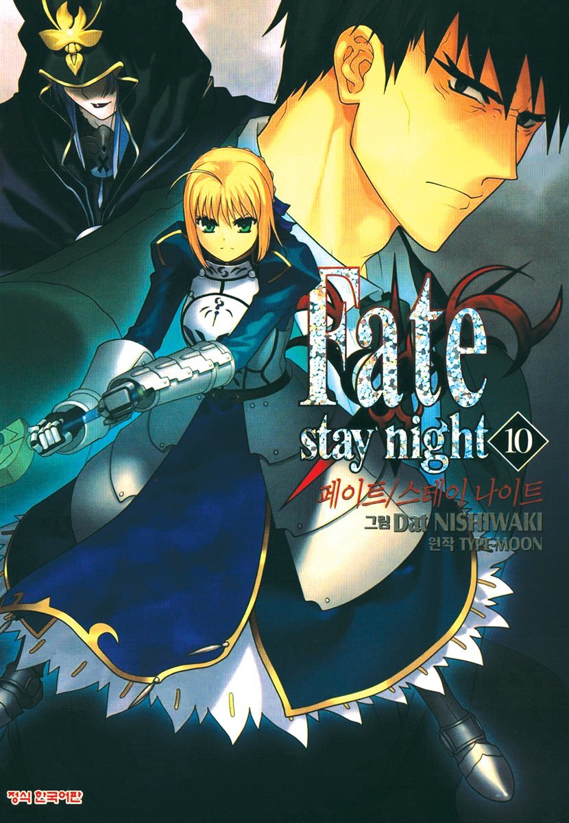 페이트 스테이 나이트(Fate Stay Night) 10권