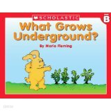 Level B - What Grows Underground? (Little Leveled Readers: Level B)