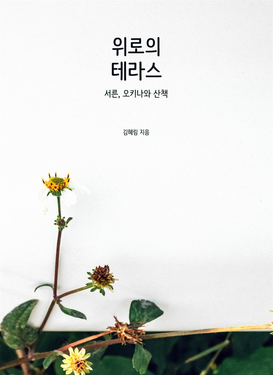 위로의 테라스
