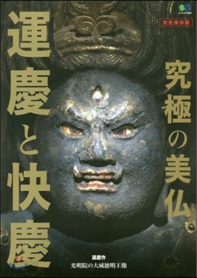 究極の美佛 運慶と快慶