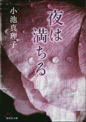 夜は滿ちる