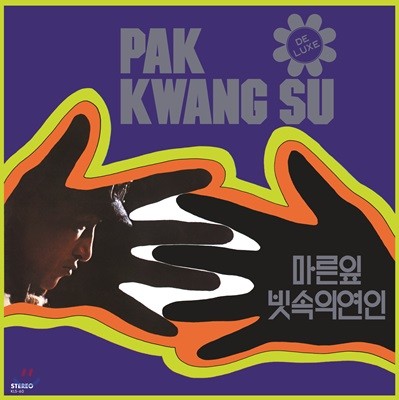 박광수 — 마른잎,빗속의 여인 앨범 커버