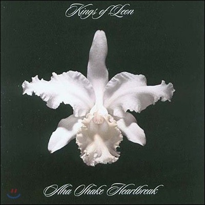 Kings Of Leon — Aha Shake Heartbreak 앨범 커버