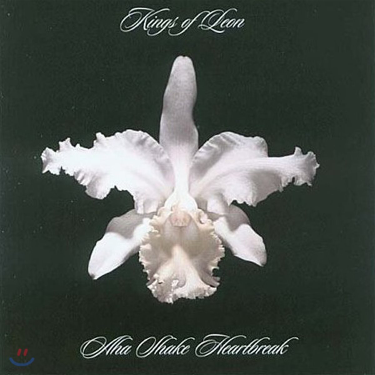 Kings Of Leon (킹스 오브 리온) - Aha Shake Heartbreak [2 LP]
