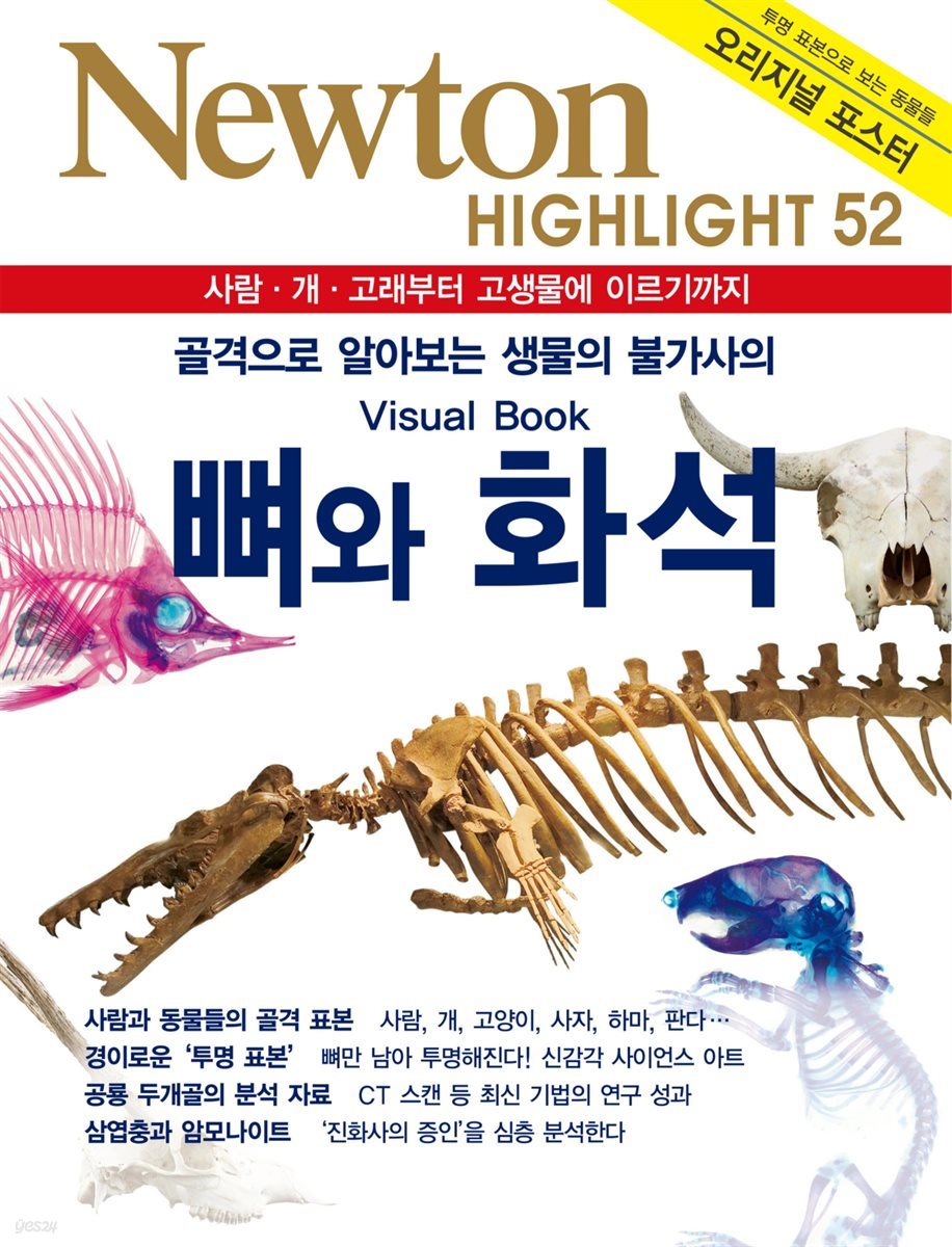 뼈와 화석: 골격으로 알아보는 생물의 불가사의 - Newton Highlight 52