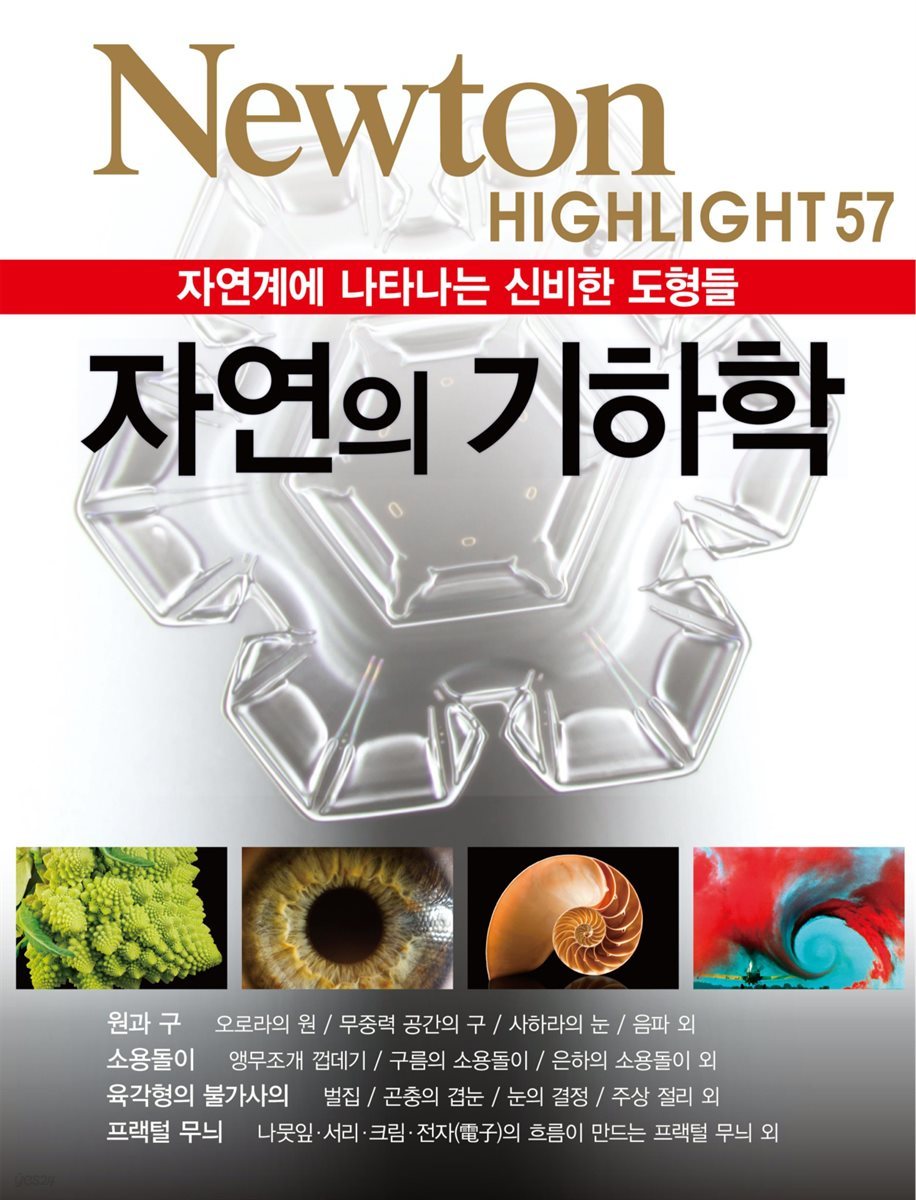 자연의 기하학 : 자연계에 나타나는 신비한 도형들 - Newton Highlight 57