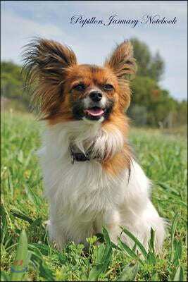 Papillon January Notebook Papillon Record, Log, Diary, Special Memories, to Do List, Academic Notepad, Scrapbook & More