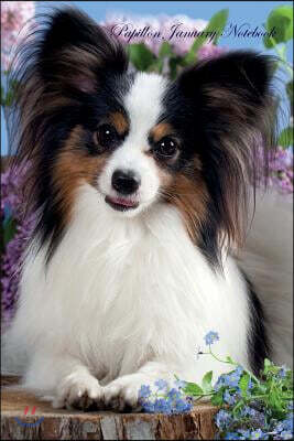 Papillon January Notebook Papillon Record, Log, Diary, Special Memories, to Do List, Academic Notepad, Scrapbook & More