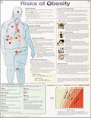 Risks of Obesity 2e