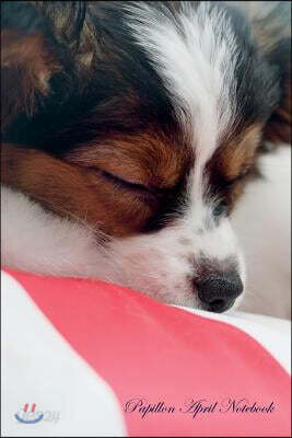 Papillon April Notebook Papillon Record, Log, Diary, Special Memories, to Do List, Academic Notepad, Scrapbook & More