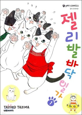 책 정보