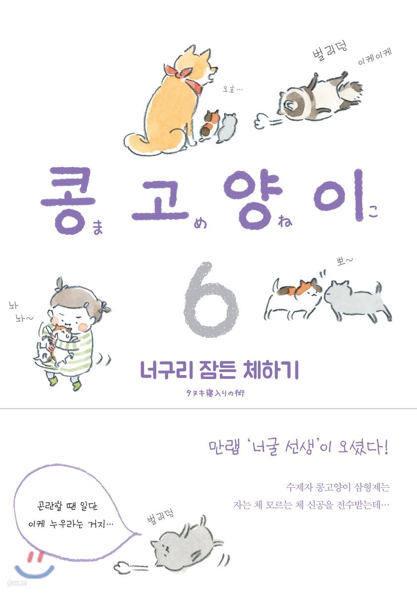 콩고양이 6
