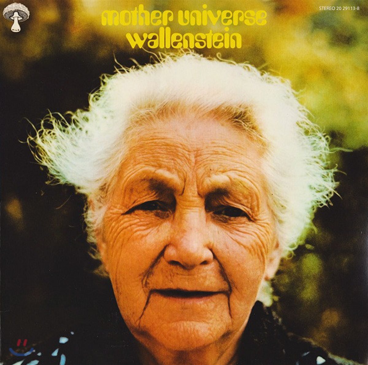 Wallenstein Mother Universe [LP] 예스24