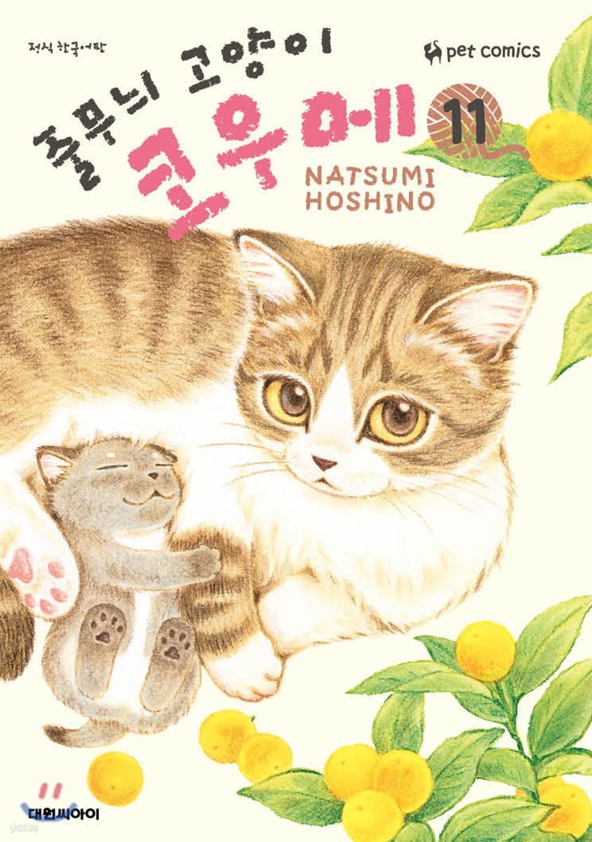 줄무늬 고양이 코우메 11