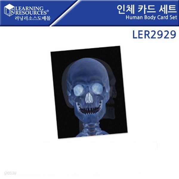 [러닝리소스] 인체 카드 세트 LER2929