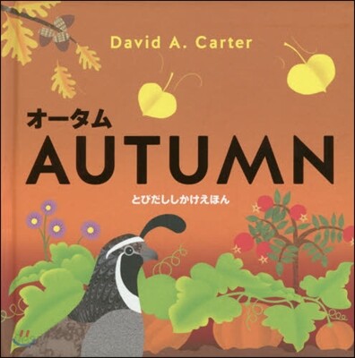AUTUMN オ-タム