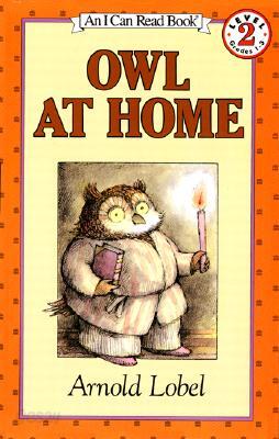 Owl at Home