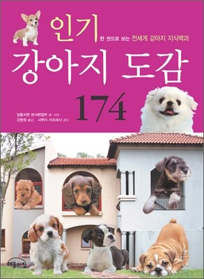 인기 강아지 도감 174