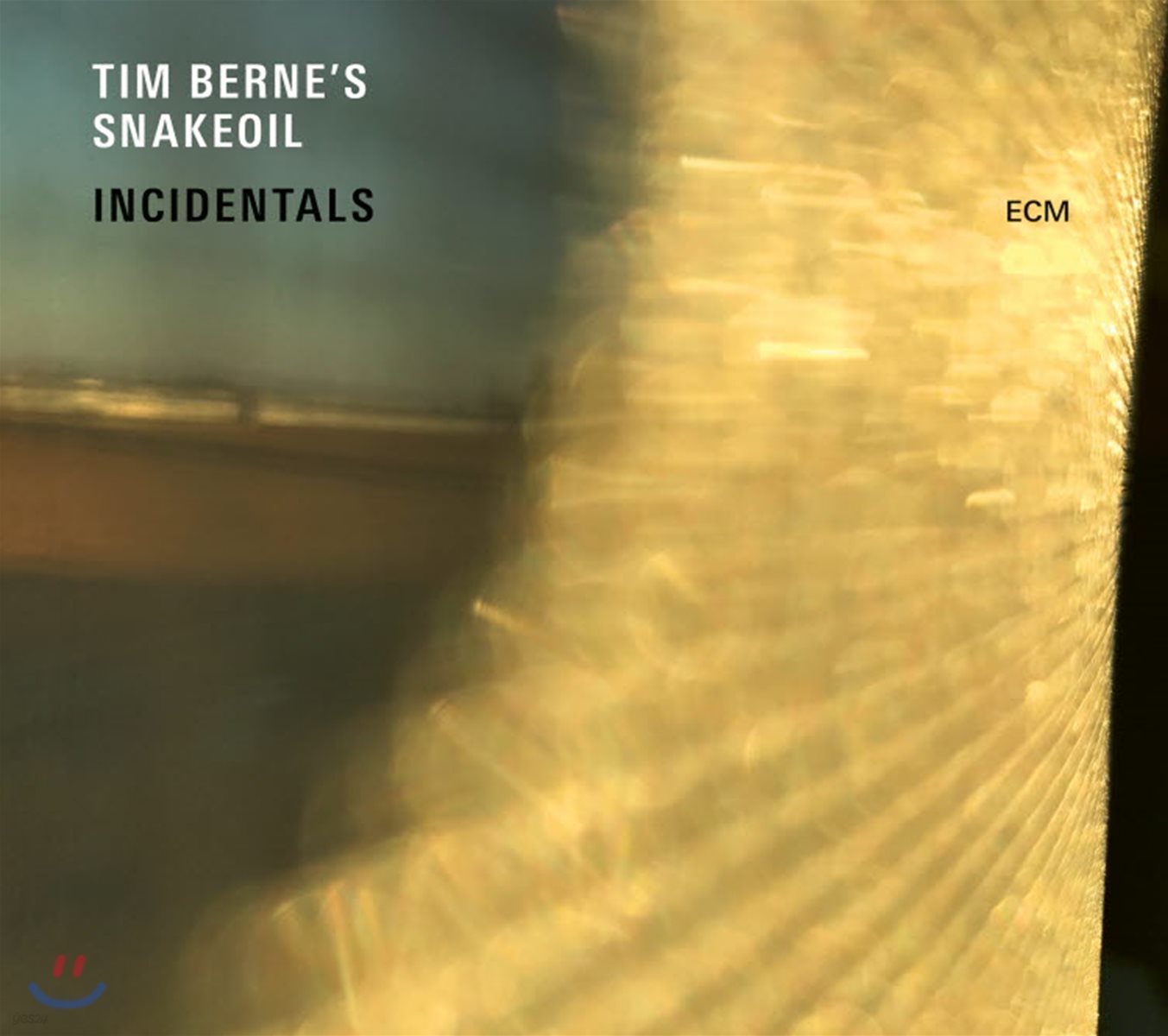 Tim Berne&#39;s Snakeoil (팀 번스 스네이크오일) - Incidentals