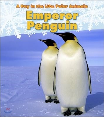 Emperor Penguin